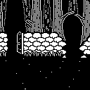 Enter.